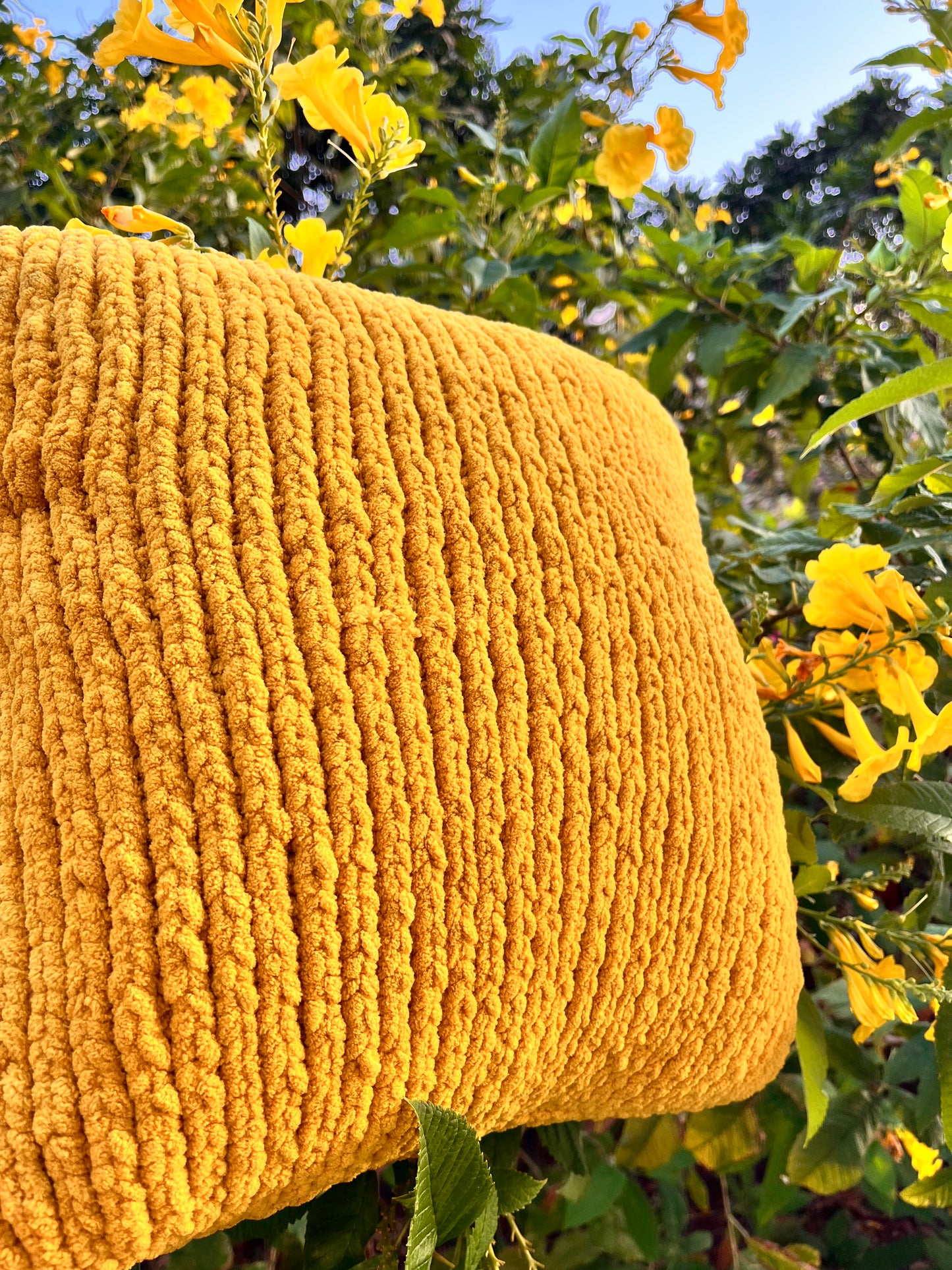 Wake & Bake Yellow Cushion