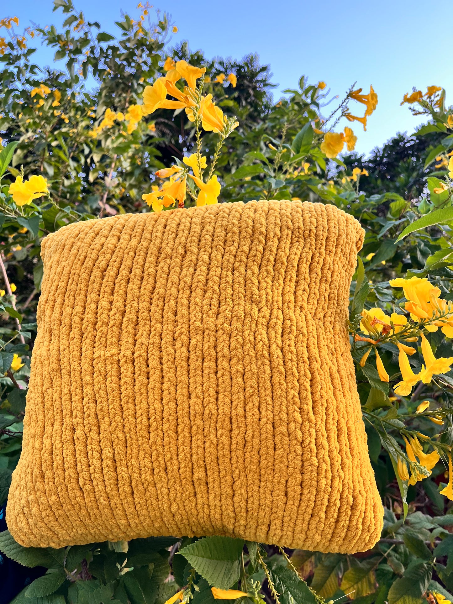 Wake & Bake Yellow Cushion