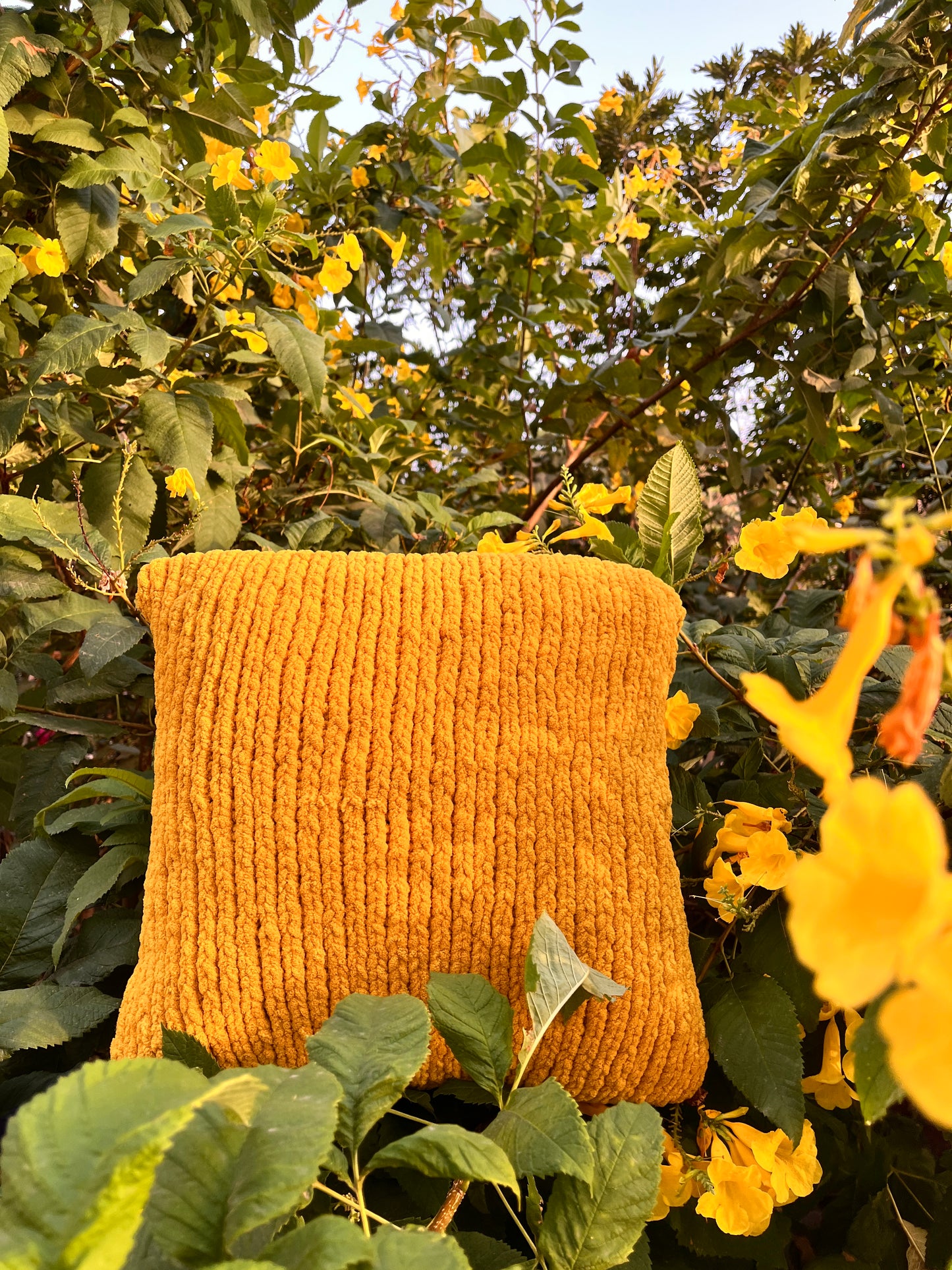 Wake & Bake Yellow Cushion